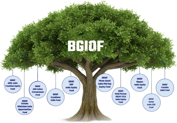 BGIOF Fund Illustration